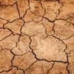 В Италии заявили, что более четверти территории страны грозит засуха