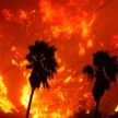 Лесные пожары не прекращают бушевать в США