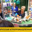 Открытие выставки «Белагро-2024». Репортаж ОНТ