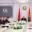 У Лукашенко на совещании рассмотрели совершенствование законодательства о гражданстве и возможность амнистии