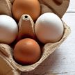 Названы способы проверить яйца на свежесть