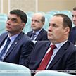 Головченко показали работу приложения МНС «Налог на профессиональный доход»
