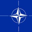 Правительство Швеции приняло официальное решение о членстве в НАТО