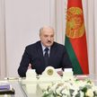 Лукашенко о Навальном: если ты решил бороться с коррупцией, надо быть самому кристально чистым