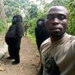 Рейнджер загрузил в Facebook селфи с гориллами и стал звездой