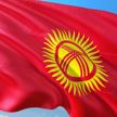 В столице Кыргызстана во время ночных беспорядков пострадали 29 человек