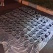 В автомобиле жительницы Хабаровска найдено 111 контейнеров с черной икрой