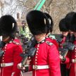 В Лондоне королевский гвардеец во время марша прошелся по ребенку (ВИДЕО)