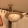 Кот уснул в прозрачном гамаке, а пользователи Reddit сделали из него мем