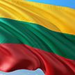 Власти Литвы поддержали идею возвращения на Украину мужчин призывного возраста