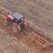 Беларусь и Зимбабве запустили новый проект в сельском хозяйстве