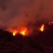 Лесные пожары в Калифорнии, есть жертвы