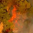 Мощные лесные пожары бушуют в западной части Канады