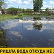 Под Гомелем огороды дачников затапливают грунтовые воды