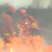 Как потушить лесной пожар? В Витебской области завершились масштабные учения