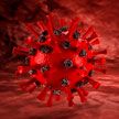 Инфекционист назвал «любимые органы» коронавируса