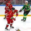 Команда Президента провела хоккейный матч против сборной Гомельской области