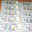 Украинец пытался тайно вывезти из Беларуси 100 тысяч долларов (ВИДЕО)