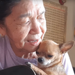 66-летняя женщина в компании чихуахуа записывает музыкальные ролики для YouTube (ВИДЕО)