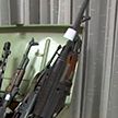 Удар по экстремистам в Австрии: конфискованы десятки единиц огнестрельного оружия