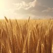Украина рекордными темпами вывозит зерно на зарубежные рынки