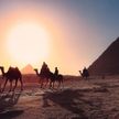 Власти Египта будут оплачивать лечение туристов, заразившихся во время отдыха COVID-19