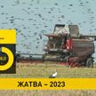 Жатва-2023: аграрии собирают урожай