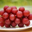 Гроздь винограда за 11 тысяч долларов продали в Японии