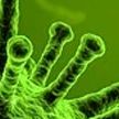 Ученые узнали о произошедшей 20 тыс. лет назад эпидемии коронавируса