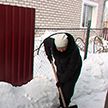 Еду купят, во дворе приберут: могилевские соцработники во время заморозков пришли на помощь одиноким пенсионерам