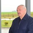 «Золотой век для сельского хозяйства». Итоги рабочей поездки Лукашенко на агрокомбинат «Юбилейный»