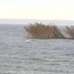 На Освейском озере утонули два рыбака