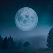 В ночь с 30 на 31 августа жители Беларуси увидят «голубую Луну»