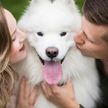 Собаки на свадьбе: фотографии, которые точно заставят вас улыбнуться