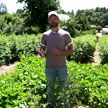 Выращиваем томаты: как не допустить и исправить проблемы
