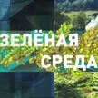Чем уникальны национальные парки, заповедники, заказники и природоохранные территории Беларуси? Рубрика «Зеленая среда»