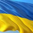 На ПА ОБСЕ активистов попросили убрать украинский флаг