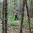Человеческие останки нашли в лесу жители деревни Хотомель