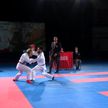 Международный турнир по каратэ Belarus Open проходит в Беларуси