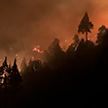В США не удается потушить лесные пожары на озере Тахо