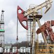За март на нефтяных месторождениях Гомельской области пробурено семь новых скважин