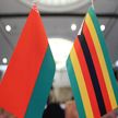Министры здравоохранения Беларуси и Зимбабве подписали двухстороннее соглашение