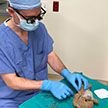 Хирург прооперировал плюшевого медвежонка по просьбе маленького пациента в Канаде