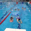 Где обучаться плаванию в Минске? «Олимп» приглашает всех желающих
