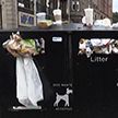Эдинбург утопает в мусоре из-за забастовки уборщиков