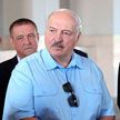 Лукашенко знакомится с развитием садоводства в одном из лучших хозяйств страны