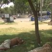 Пакистан переживает рекордную жару: медики говорят о рисках смертельных случаев