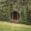 «Портал в другое измерение»: идеально круглая дыра в густом лесу озадачила пользователей Сети