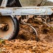 В Молдове аграрии обвинили власти в содействии уничтожению фермерских хозяйств