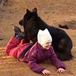 Девочка и волк: в Витебске пятилетний ребенок подружился с лесным хищником